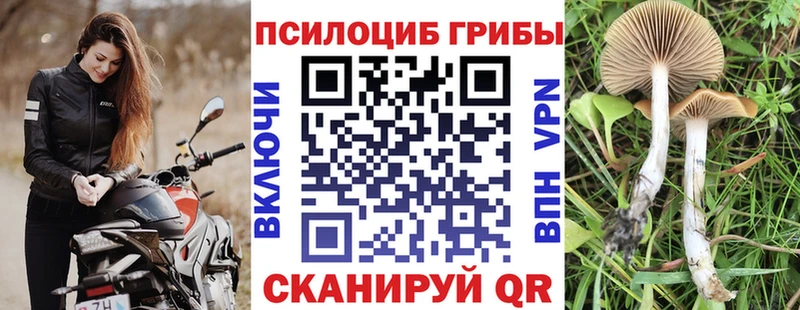 Псилоцибиновые грибы мицелий  Мосальск 